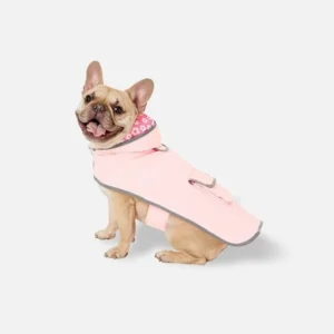 Clothing & Accessories